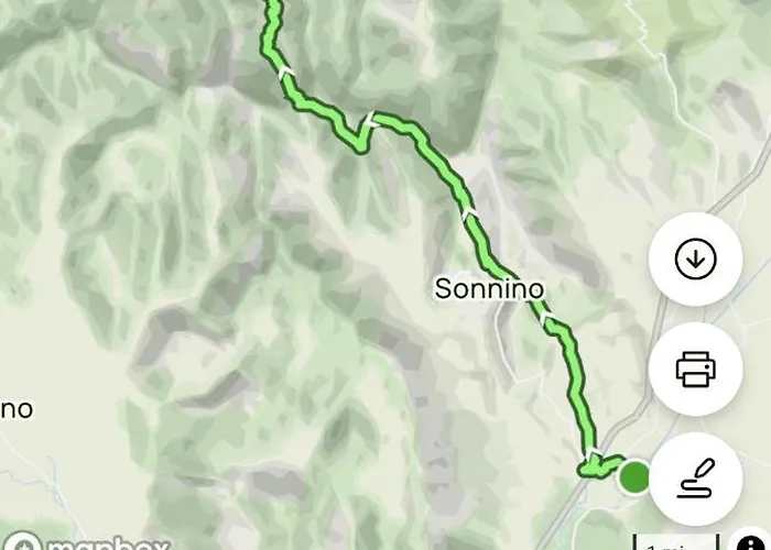 Room68 Sonnino